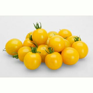 トマト | 農業屋.com