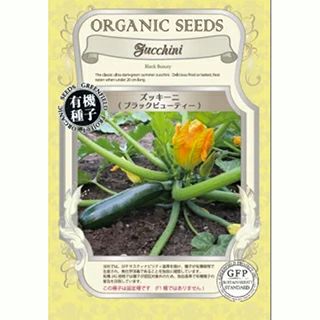 ズッキーニの種【20粒以上】✖️30セット⭕️まとめ買いご利用で更にお買い得‼️ ズッキーニの種【20粒以上】⭕️まとめ買いご利用で更にお買い得