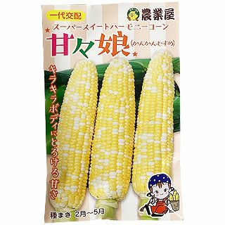 トウモロコシ 種 【 甘々娘（かんかんむすめ） 】 小袋
