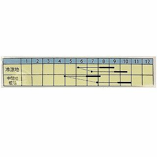  つるありいんげん 種 【 パンダいんげん 】 小袋 