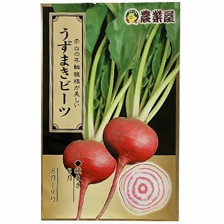 たまねぎ 種 【 七宝 早生七号 】 100g | 農業屋.com