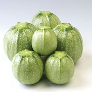 かぼちゃ・ズッキーニ | 農業屋.com かぼちゃ・ズッキーニ | 農業屋.com