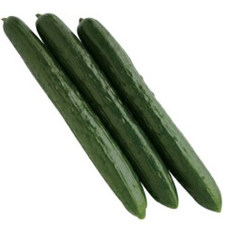 まがったキュウリ きゅうり | 農業屋.com