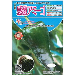とうがらし 種 【 感激アミーゴ 】 100粒 ( とうがらしの種 ) | 農業屋.com