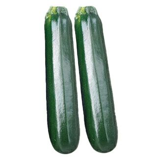 ずっき〜に ズッキーニ 種 【ゼルダ TSX－750Z 】 100粒 ( ズッキーニの種