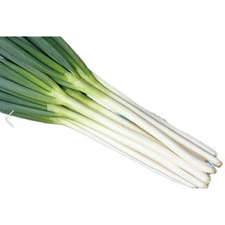 ネギ 種 【 大河の轟き 】 1dl ( ネギの種 ) | 農業屋.com