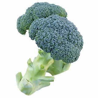 ブロッコリー | 農業屋.com