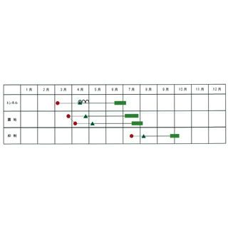  マクワ 種 【 チャメっ娘 】 小袋 ( フルーツマクワウリの種 )