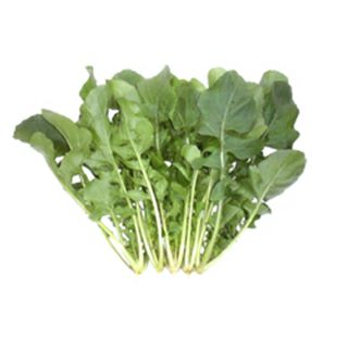 晩緑99W[ブロッコリー] - e-種や｜国内最大級の野菜種・花種・苗