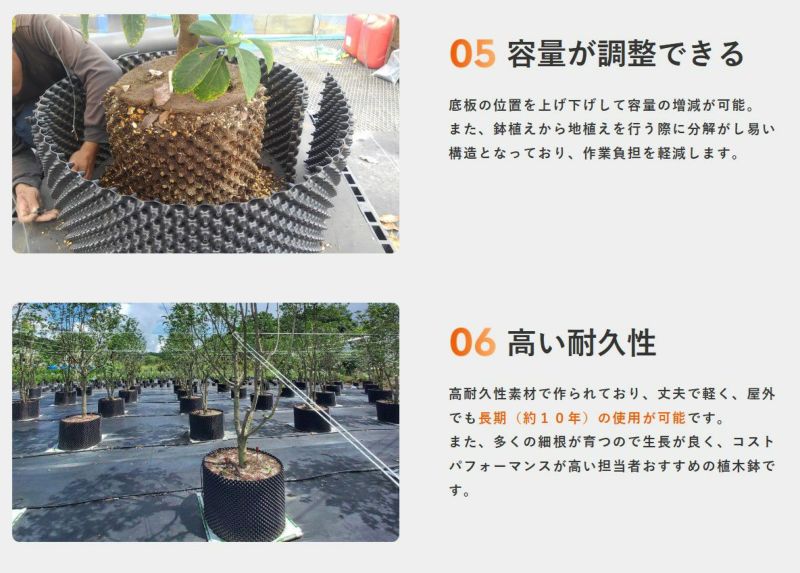 ルートプラスポットへの植栽おすすめしてます。 ルートプラスポット ブラック 12L GSAP250M 南榮工業