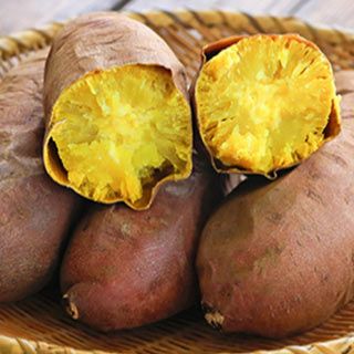 さつまいも苗 【 栗かぐや 通常苗 】10本