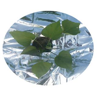 シルバーアルミ反射マルチ　厚み0.02mm×幅95cm×長さ50ｍ