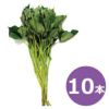  さつまいも苗 【 あまはづき 】10本 【予約販売 芋づる さつまいも 苗】