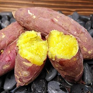 さつまいも切苗 品種：あまはづき【野菜の苗／切苗(約25本/束