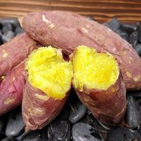 さつまいも苗 【 あまはづき 】25本 【予約販売 芋づる さつまいも 苗】