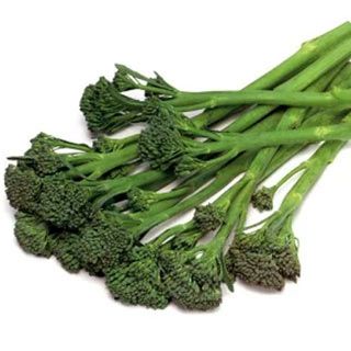ブロッコリー苗 スティックセニョール 6本セット【予約販売】