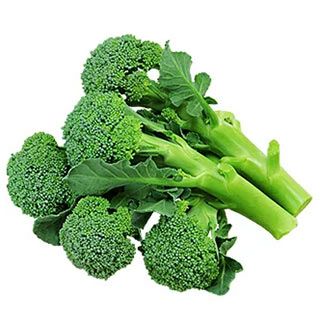 ブロッコリー苗 グリーンコーラル（なるなる） 6本セット【予約販売】