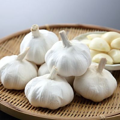 にんにく | 農業屋.com