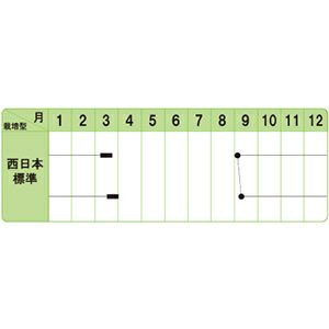 玉ねぎ 種 【 スーパーこがね 】 小袋 ( 玉ねぎの種 )