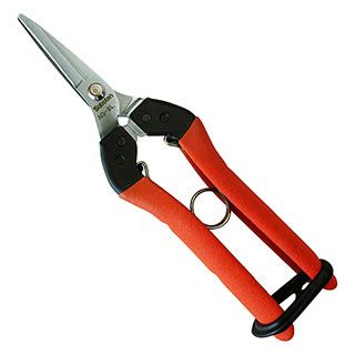  左利き用　衝撃吸収芽切鋏　Ｎｏ．ＡＧ－8Ｌ 芽切はさみ ハサミ