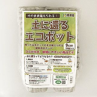 110　バニラココ（F2）beehouse苗.自家受粉　札付　ポットでメルカリ便 110 バニラココ（F2）beehouse苗.自家受粉 札付 ポットでメルカリ便