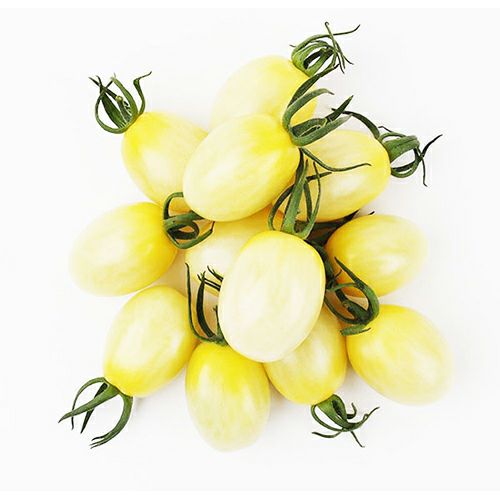 ブロッコリー 種 【 BL－456 】 ペレット5千粒 ( ブロッコリーの