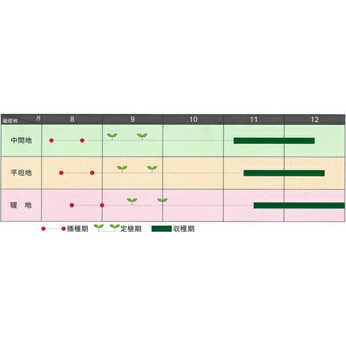 ブロッコリー 種 【 BL－456 】 ペレット5千粒 ( ブロッコリーの