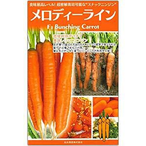 にんじん | 農業屋.com