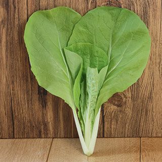 サントウサイ 種 【 灼熱サラダ菜っぱ 】 2dl ( サントウサイの種 )