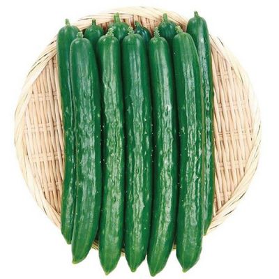 きゅうり | 農業屋.com