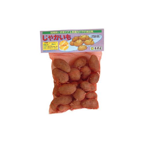 じゃがいも 種芋 【予約】 【 高級メークイン（メークィーン） 500g 入り】