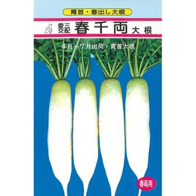 大根 | 農業屋.com