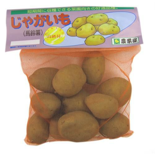 じゃがいも 種芋 【予約】 【 北海黄金(ほっかいこがね) 500g 入り】