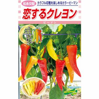 ピーマン 種 【 カラーピーマン　恋するクレヨン 】 500粒 
