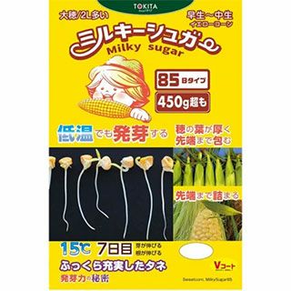 送料無料】【 令和6年産 】【 新米 】 愛知県産 あいちのかおり 玄米 2