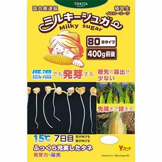トウモロコシ 種 【 ミルキーシュガー80 】 150粒