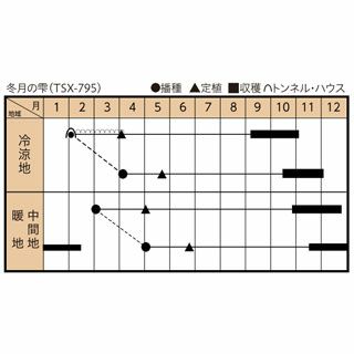 ネギ 種 【 冬月の雫 】 ペレット5千粒